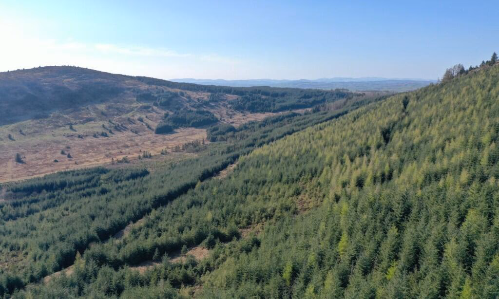 Land for sale - Image 3