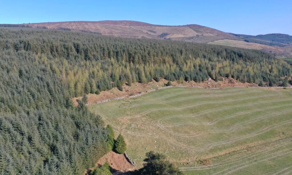 Land for sale - Image 5