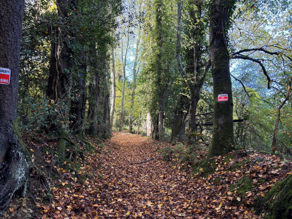 Land for sale - Image 1