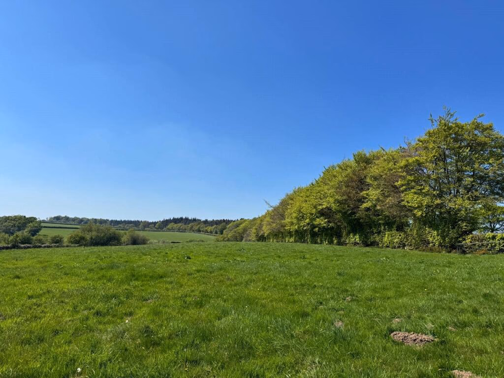 Land for sale - Image 4