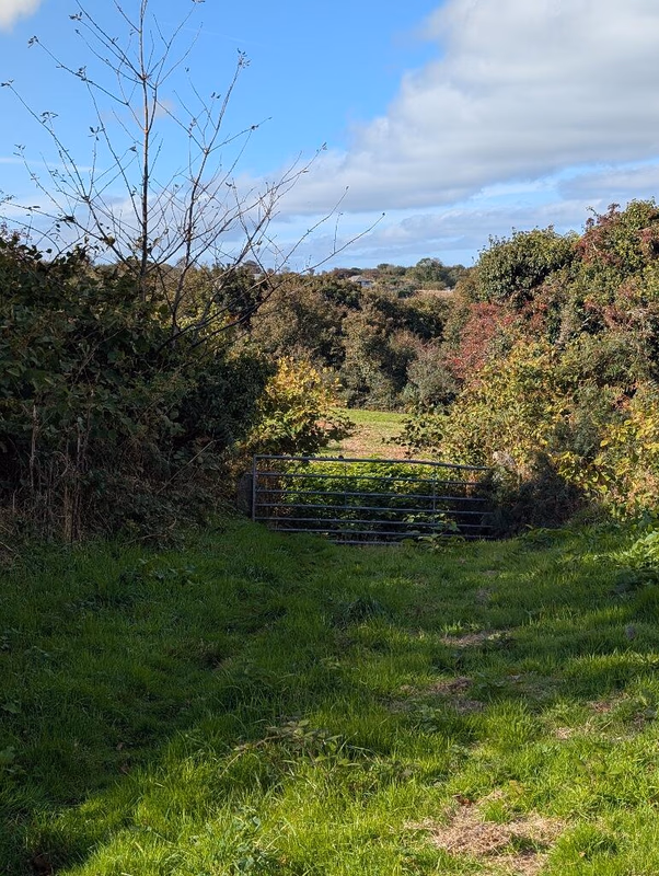 Land for sale - Image 4