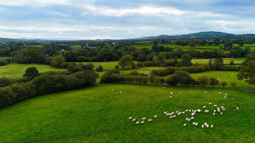 Land for sale - Image 3