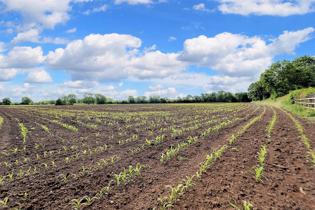 Land for sale - Image 1