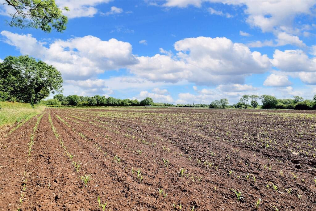 Land for sale - Image 2