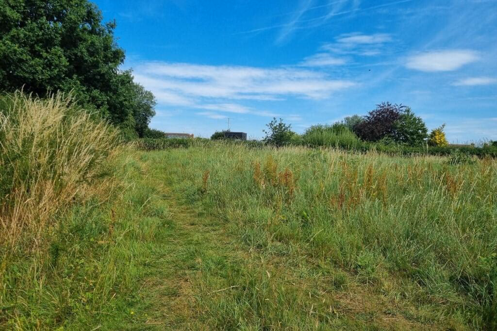 Land for sale - Image 3