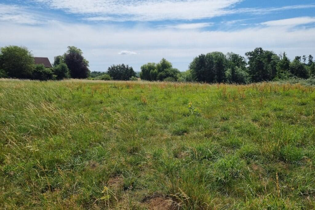 Land for sale - Image 5