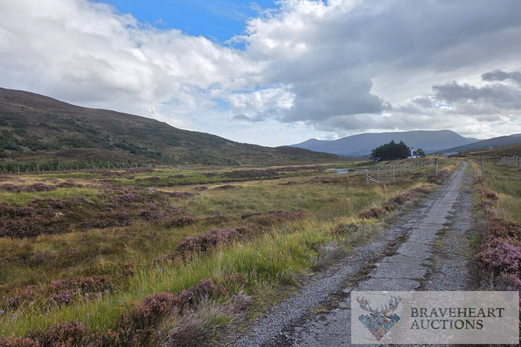 Land for sale - Image 2