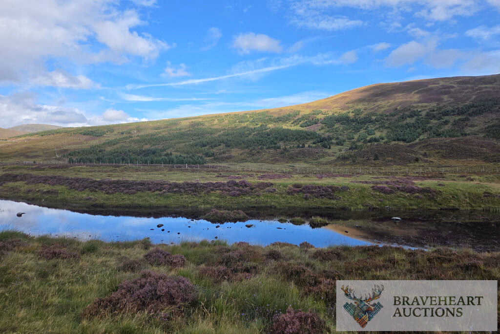 Land for sale - Image 3