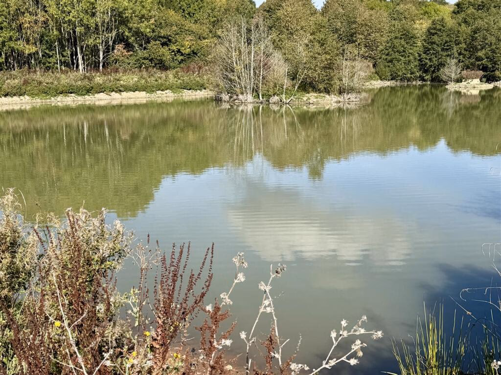 Land for sale - Image 3