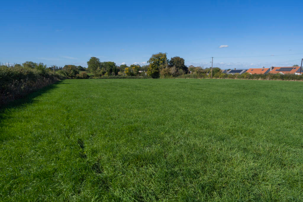 Land for sale - Image 5