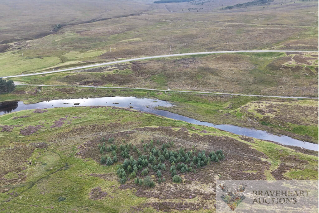 Land for sale - Image 4