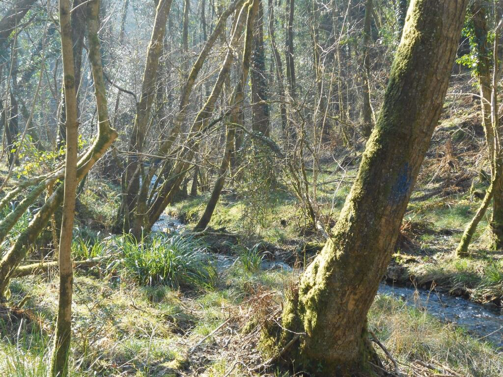 Farm land for sale - Image 1