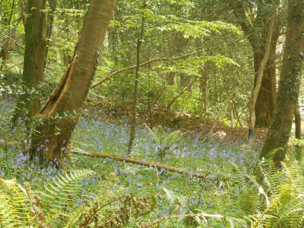 Farm land for sale - Image 5