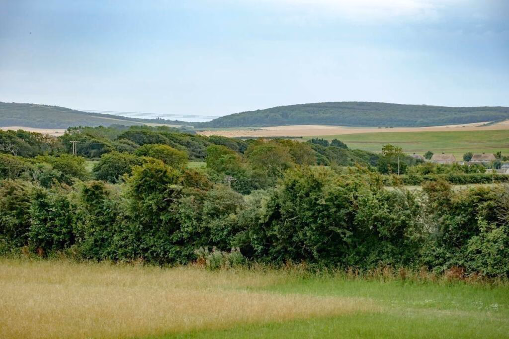 Farm land for sale - Image 3