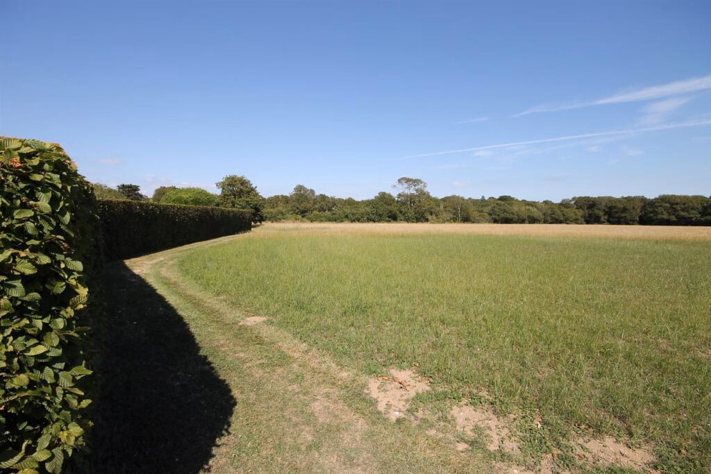 Farm land for sale - Image 5