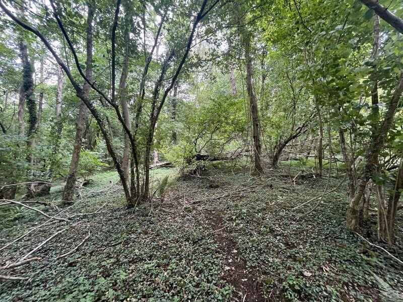 Land for sale - Image 5