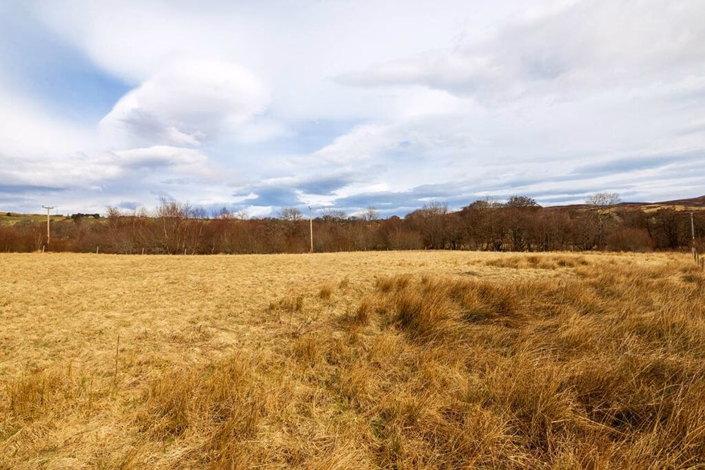Land for sale - Image 2