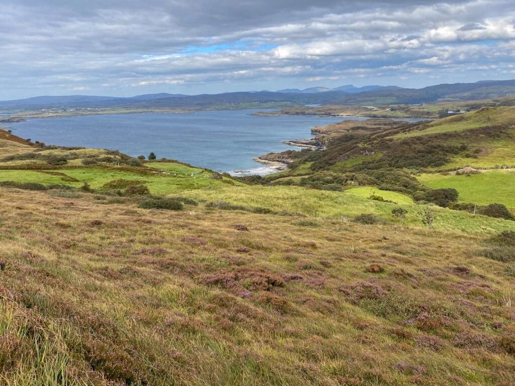 Land for sale - Image 2