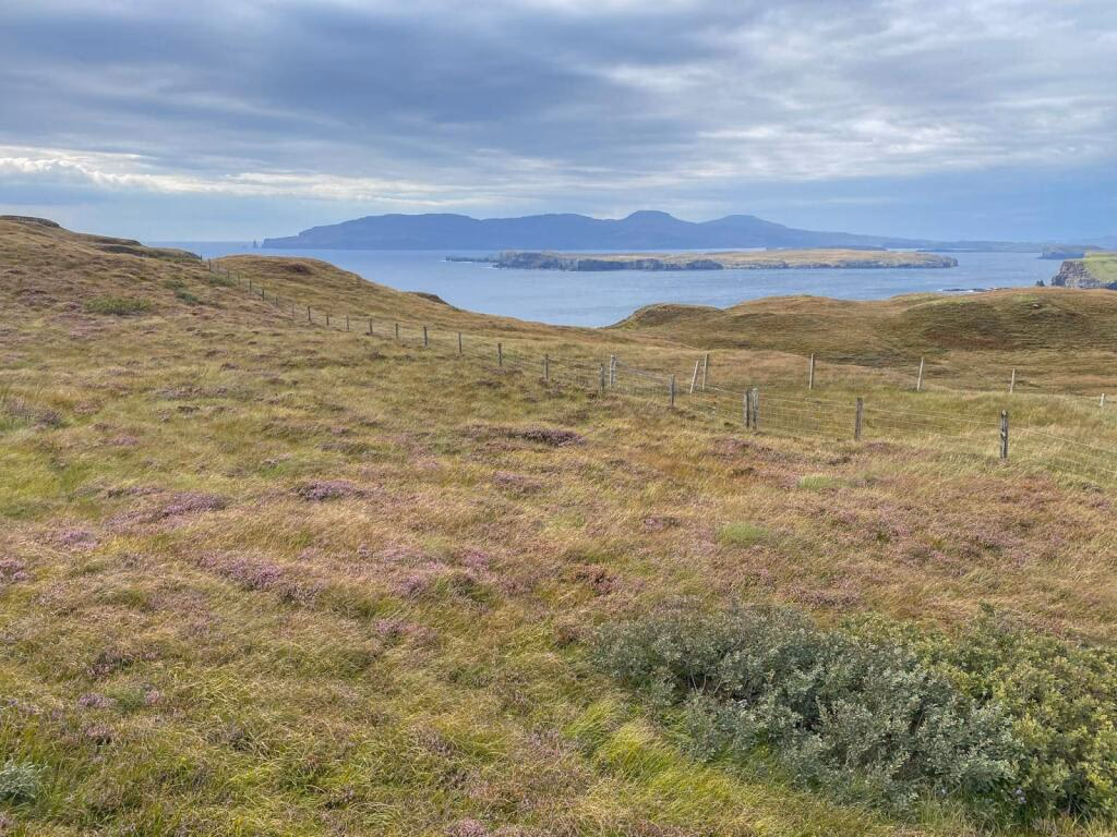 Land for sale - Image 5