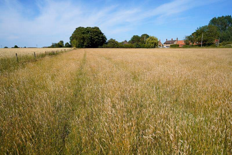 Land for sale - Image 3