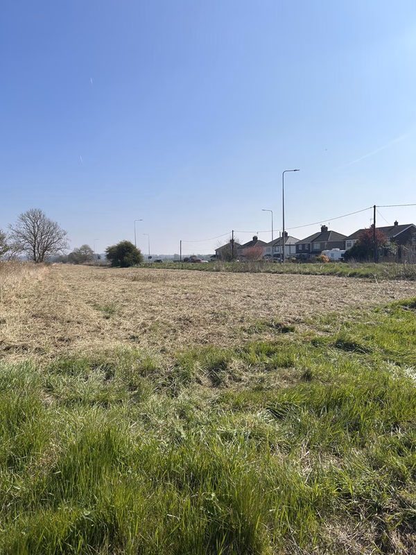 Farm land for sale - Image 2