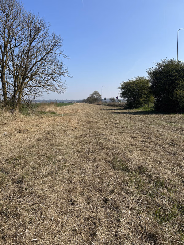 Farm land for sale - Image 3