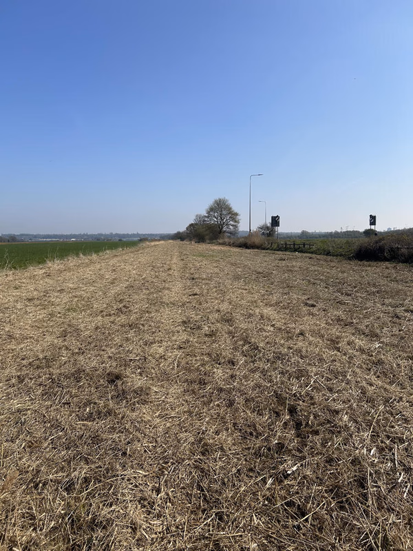 Farm land for sale - Image 4