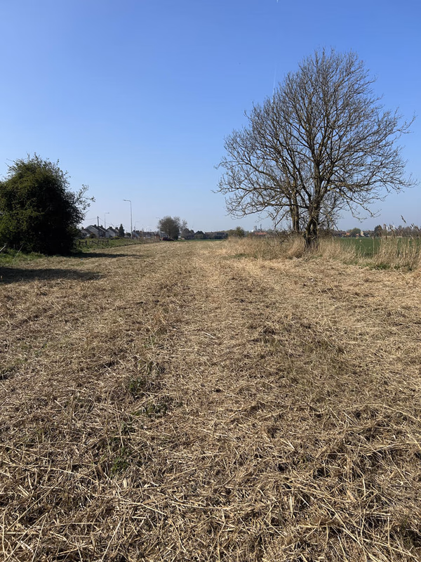 Farm land for sale - Image 5