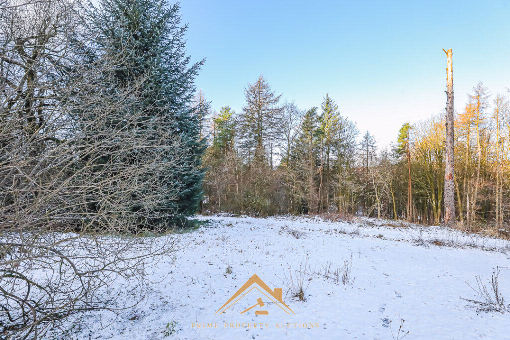 Land for sale - Image 3