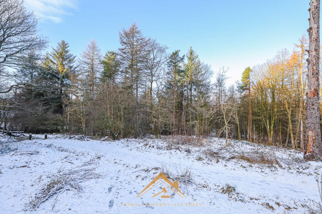 Land for sale - Image 4