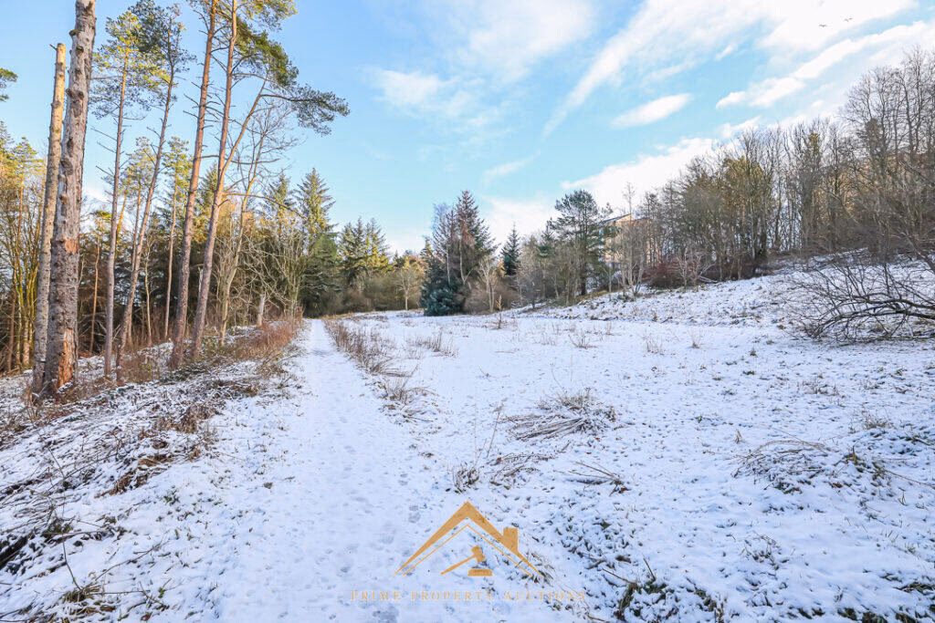 Land for sale - Image 5