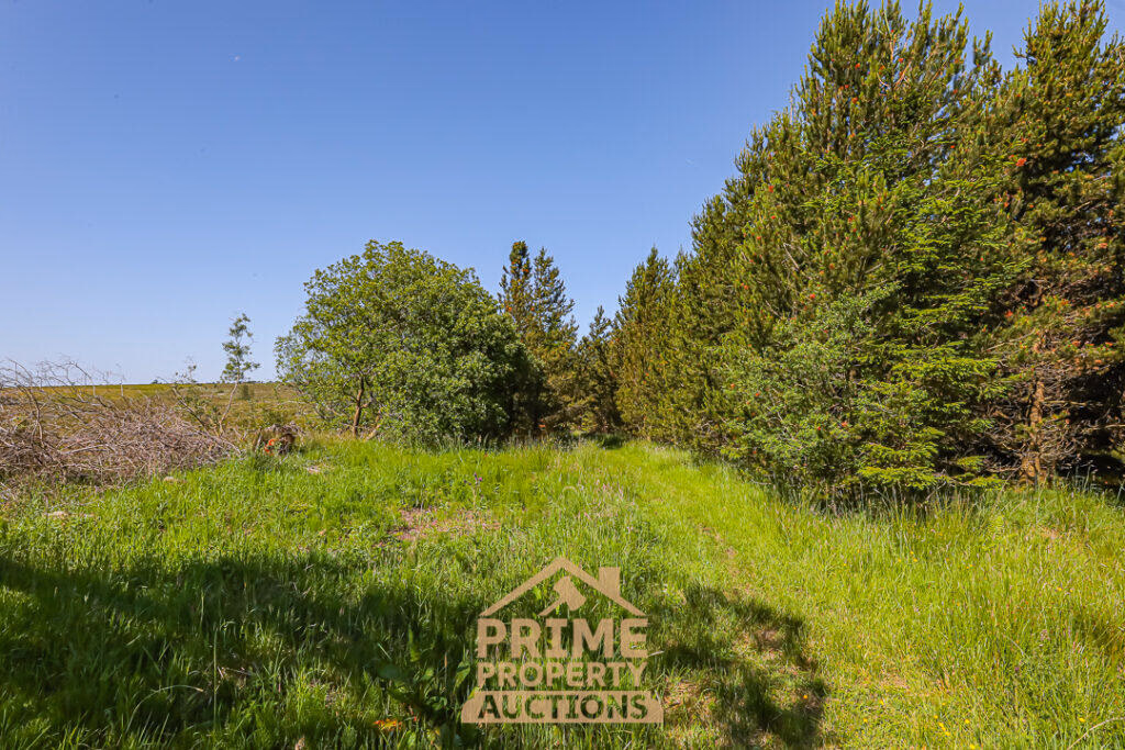 Land for sale - Image 4