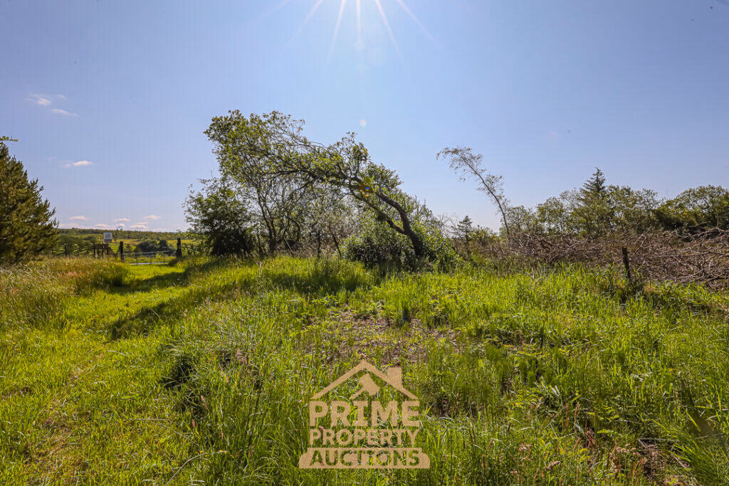 Land for sale - Image 5