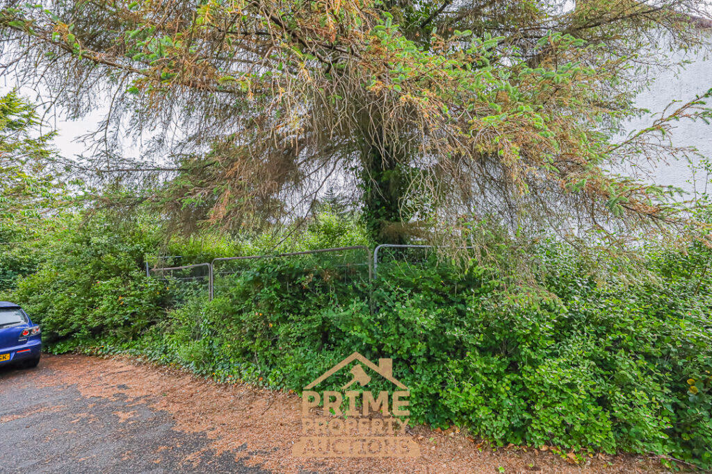 Land for sale - Image 5