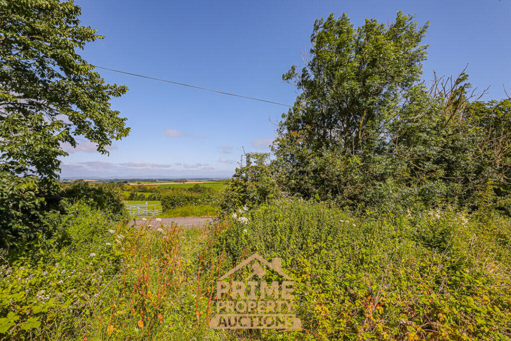 Land for sale - Image 5