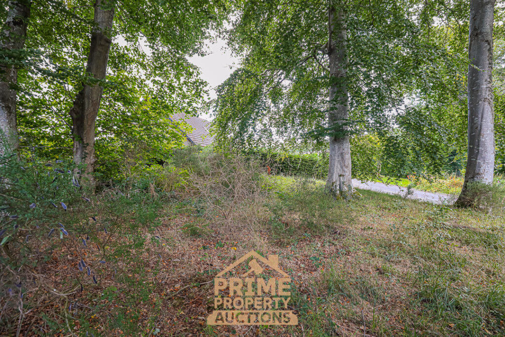 Land for sale - Image 4