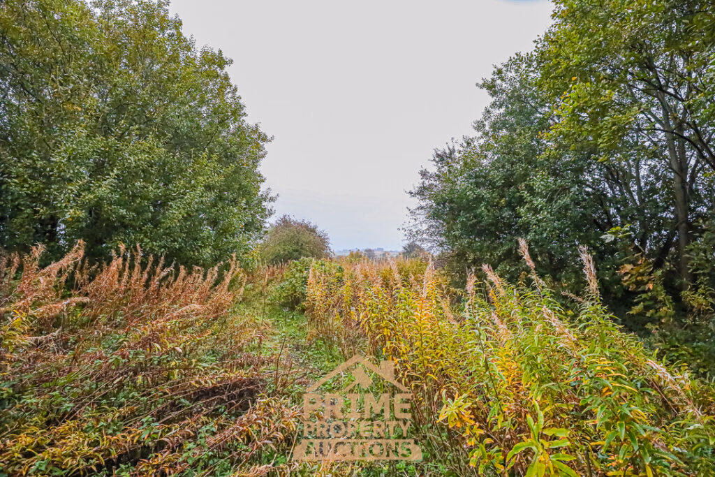 Land for sale - Image 3