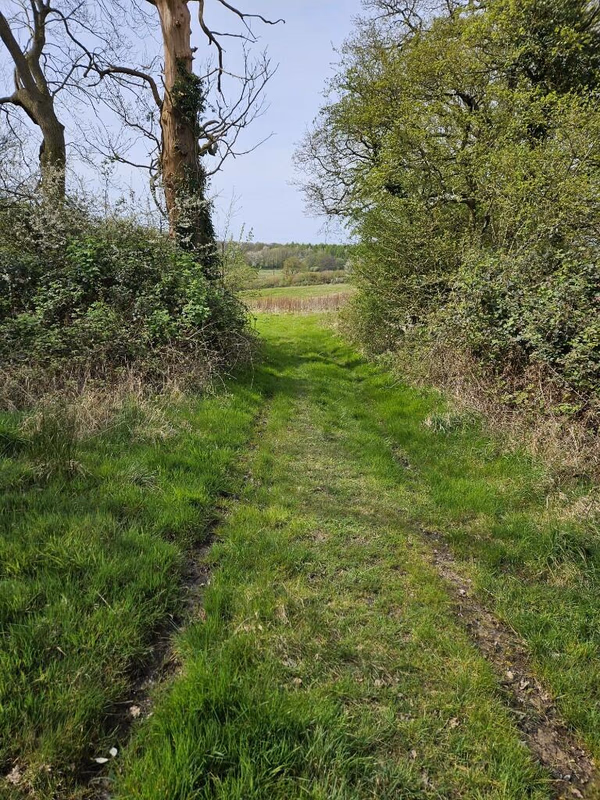 Land for sale - Image 1