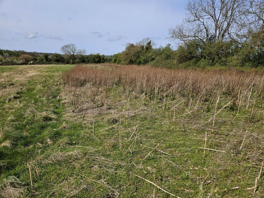 Land for sale - Image 4