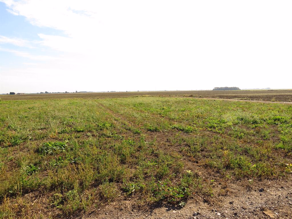 Land for sale - Image 5