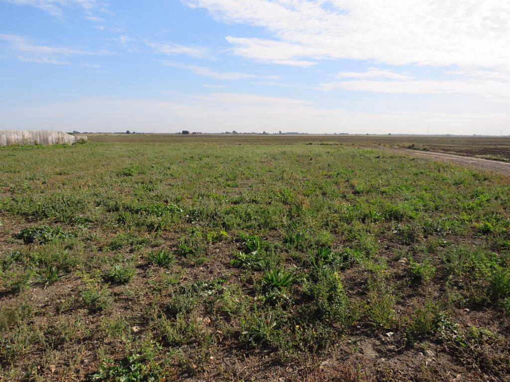 Land for sale - Image 1