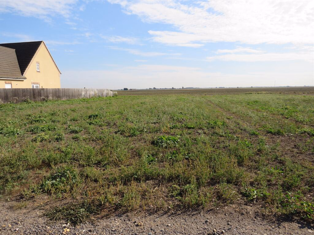 Land for sale - Image 5