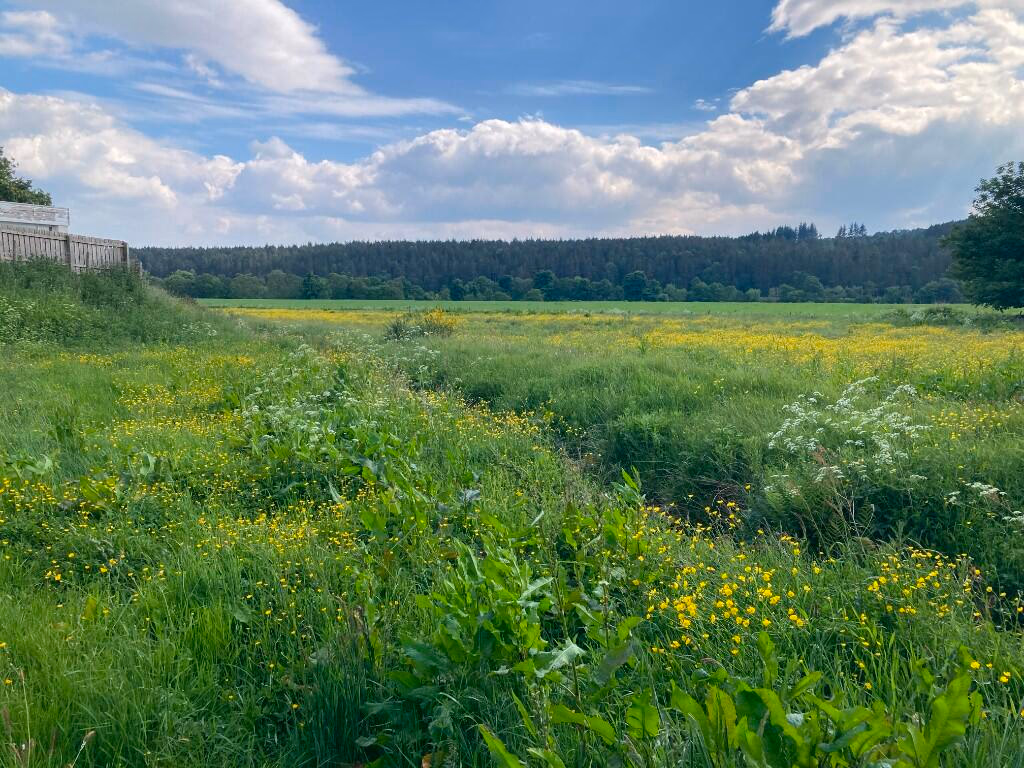 Land for sale - Image 1