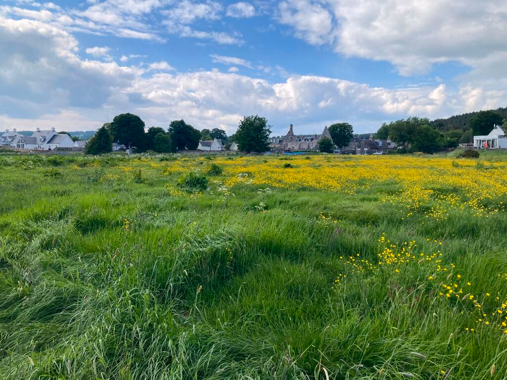 Land for sale - Image 3