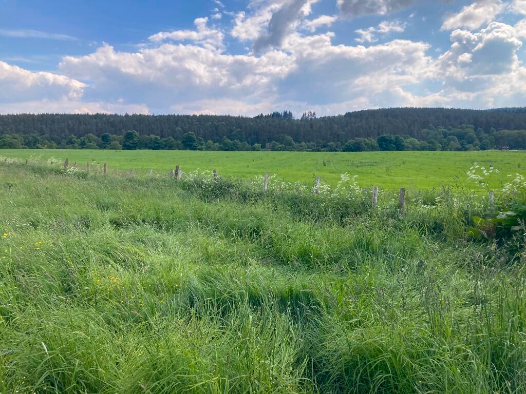 Land for sale - Image 4