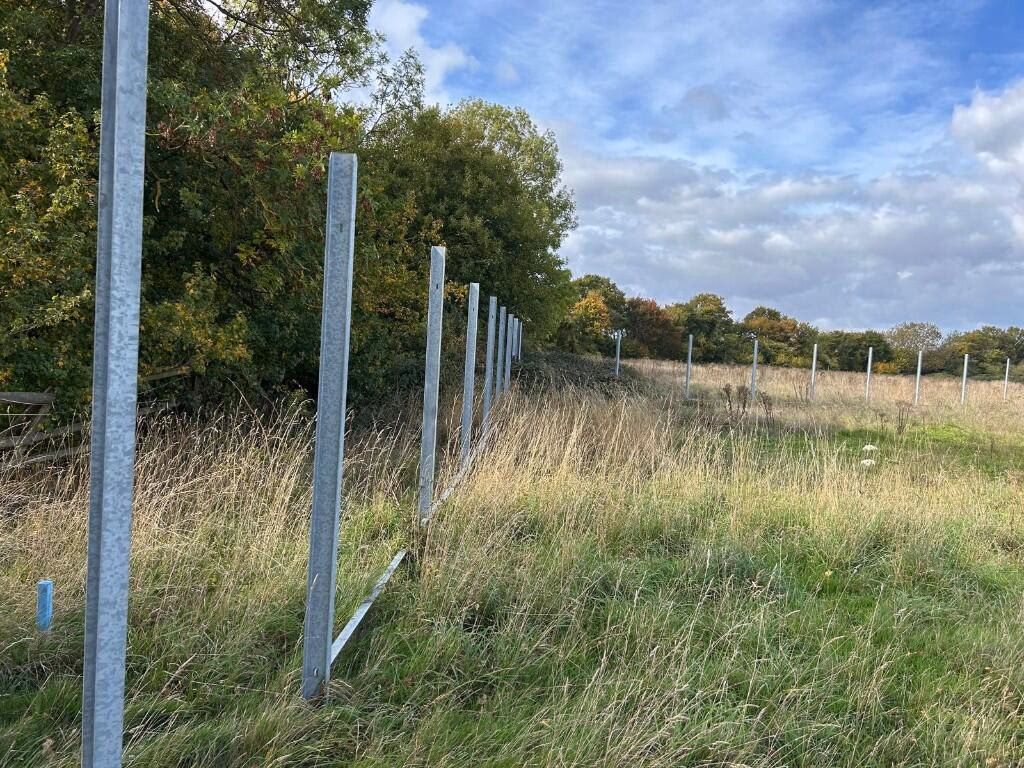 Land for sale - Image 2