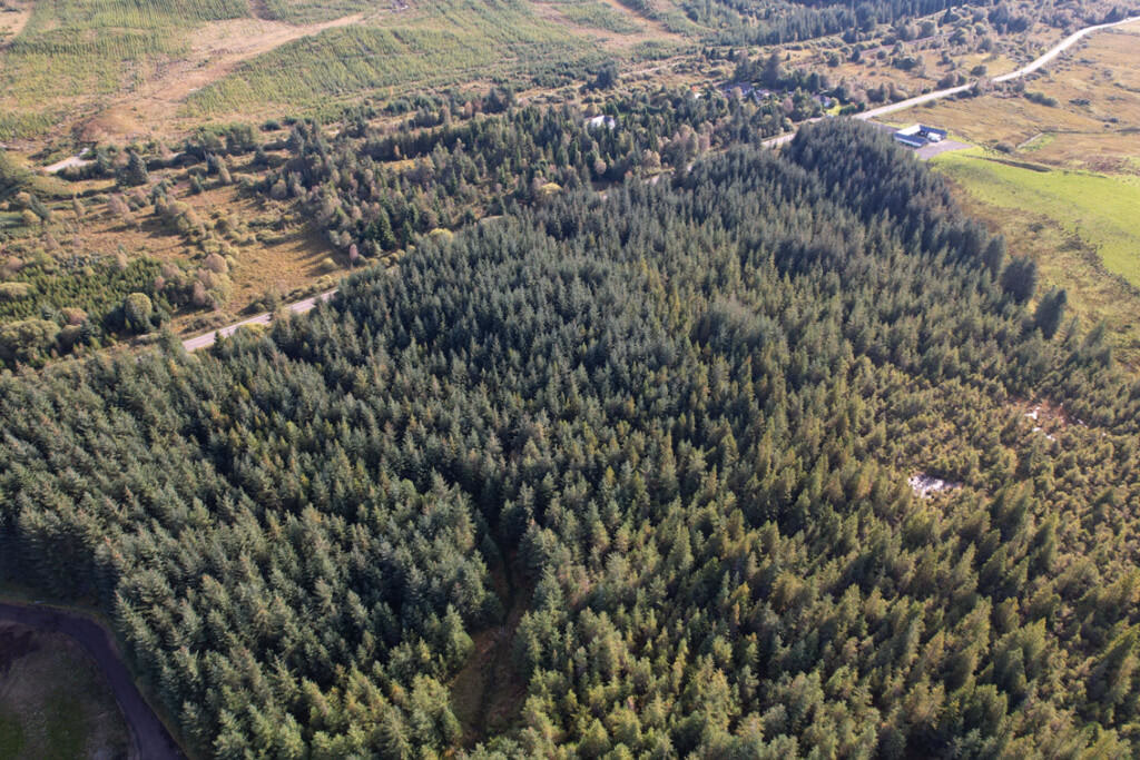 Land for sale - Image 4