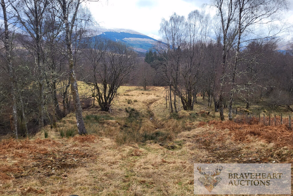 Land for sale - Image 2