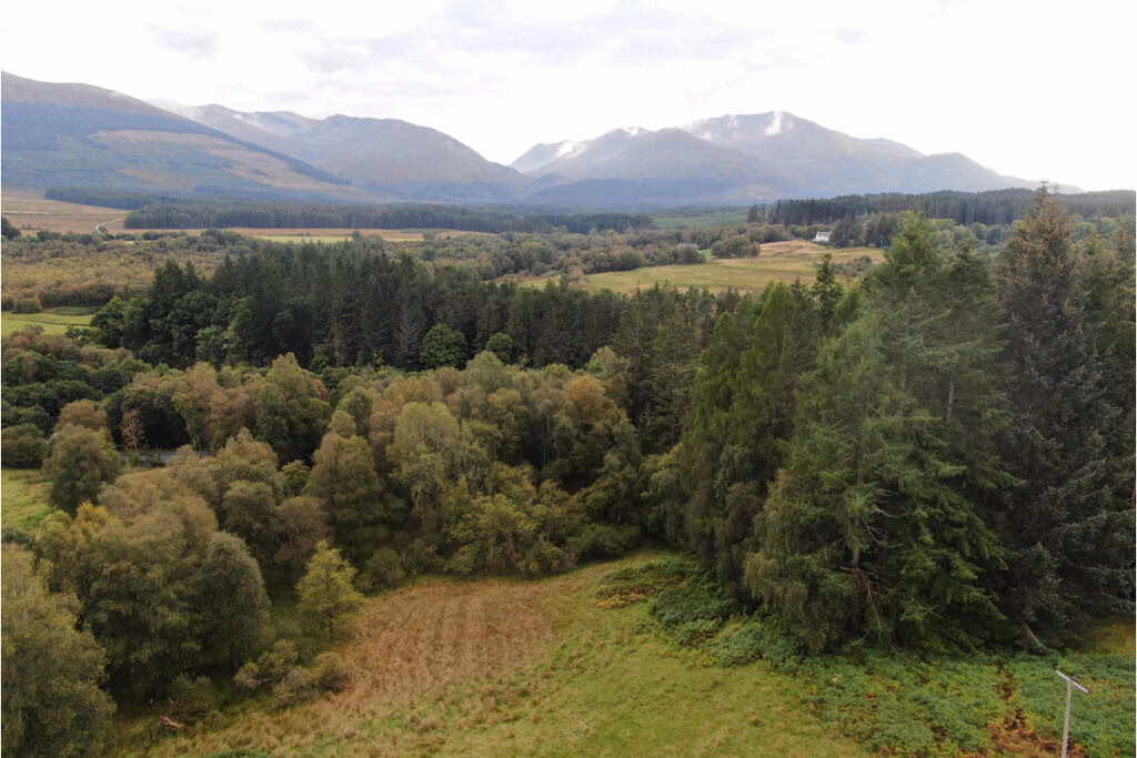 Land for sale - Image 3