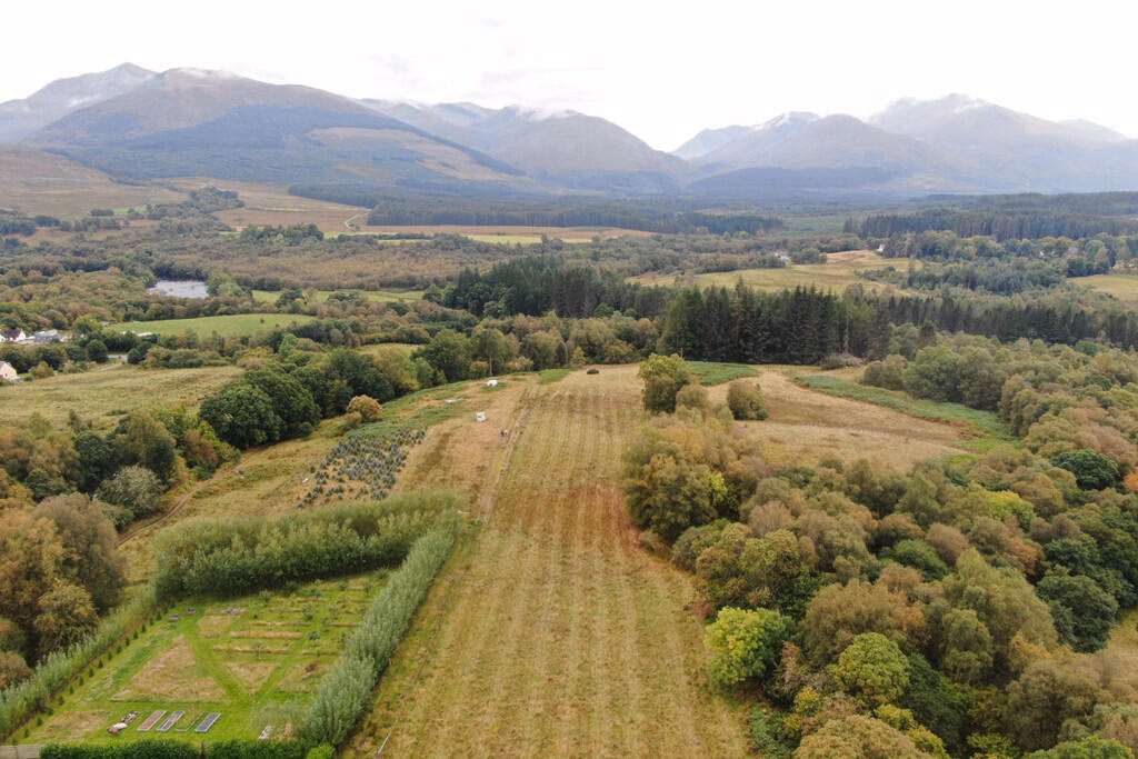 Land for sale - Image 4